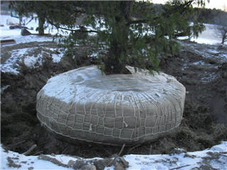 Tree Tranplanting Truck